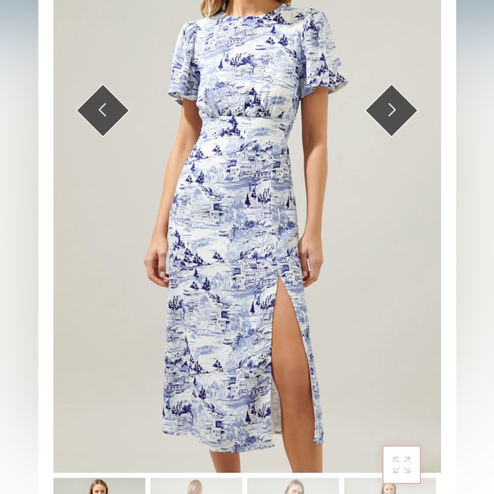 Blue toile midi dress